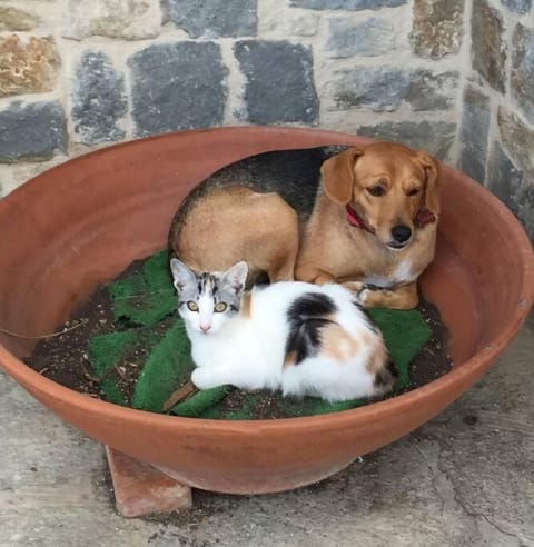 Casa Solemar House in Imperia