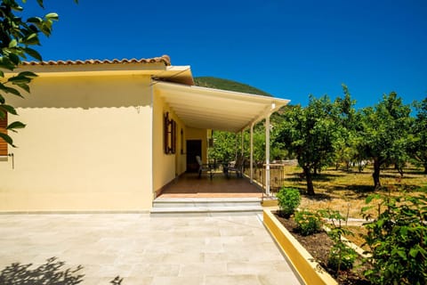 Property building, Garden view