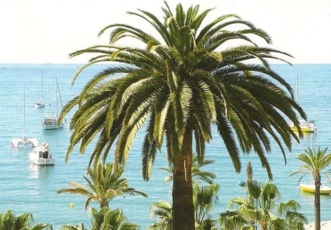 Nearby landmark, Sea view