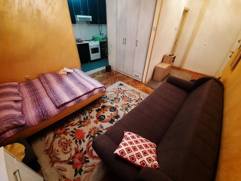 Stan na dan Apartman 31 Apartment in Zlatibor District, Serbia