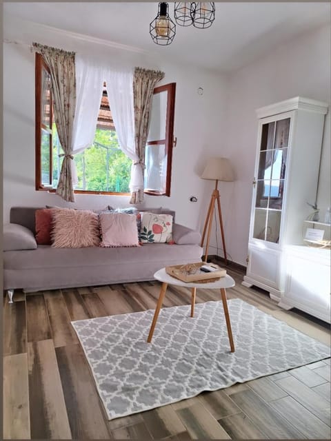 Banjo Rustic House Lake view House in Podgorica Municipality, Montenegro