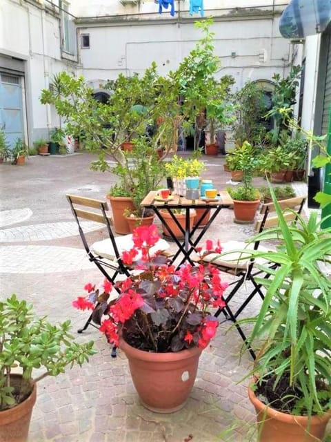 Property building, Patio
