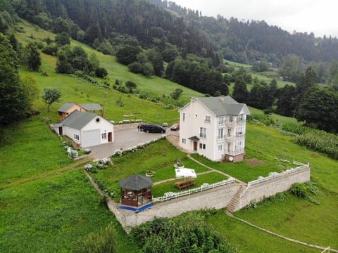 Property building, Day, Natural landscape, Bird's eye view, Garden