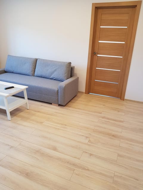 Vilniaus 123 Apartment in Lithuania