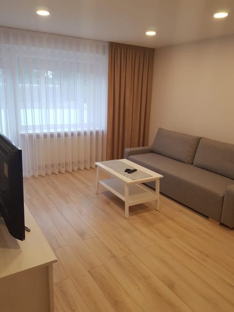 Vilniaus 123 Apartment in Lithuania