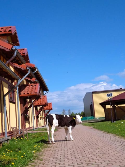 Pensjonat Przy Stajni Farm Stay in Pomeranian Voivodeship