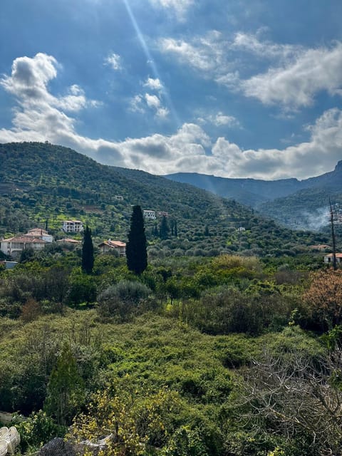 KAMVISSIS HOTEL Hotel in Tyros