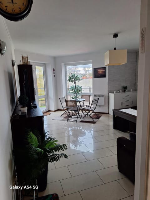 Kitchen or kitchenette, Living room, Evening entertainment