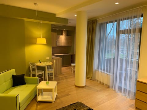 Brolių studija Apartment in Lithuania