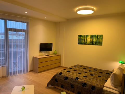 Brolių studija Apartment in Lithuania