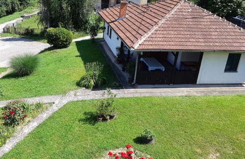 Bird's eye view, Garden, Garden view