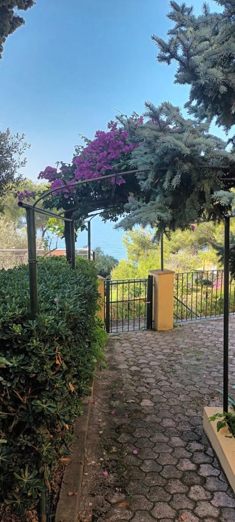 Casa vacanze da Cristina app B House in Maratea