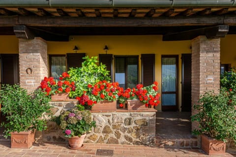 Property building, Patio, Day, Garden, Garden, Balcony/Terrace, Dining area, Garden view