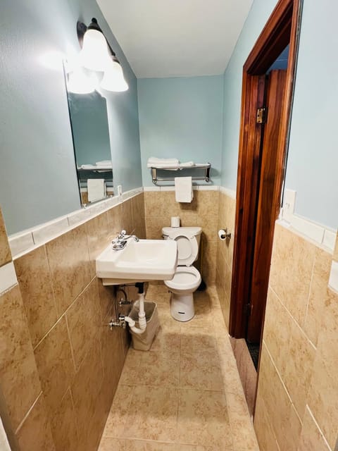 Sun N Snow Hotel Hotel in Cadillac