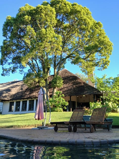 Property building, Natural landscape, Pool view, sunbed