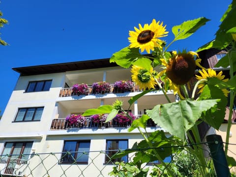Property building, Day, Garden view