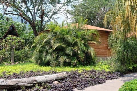 Villa Armonia Hotel & Spa Hotel in Chapala