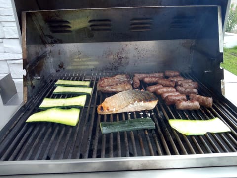 Vila Hrvatska Apartment in Šibenik-Knin County, Croatia