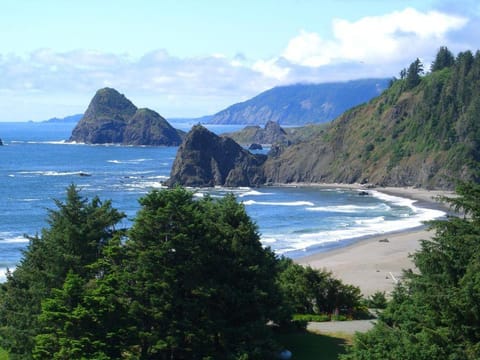 LX28: Gold Beach Oceanfront Estate House in Oregon