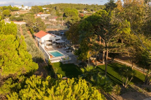 Petrochori Beach House House in Messenia