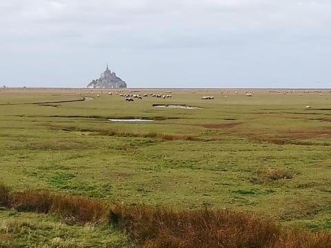 Esprit Marine Appart'Hotel Le Frenchy 3 personnes Apartment hotel in Brittany