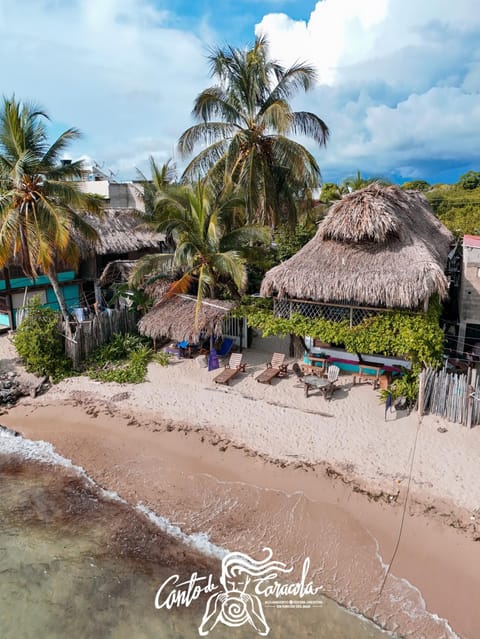 Beach, Sea view, sunbed