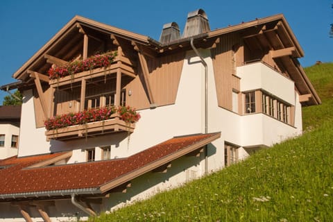 Property building, Summer