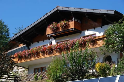 Property building, Summer