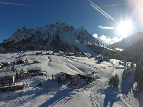Haus Ritzenspitze Apartment in Vorarlberg, Austria
