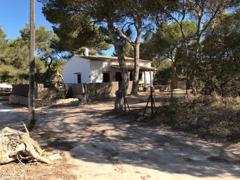 Property view