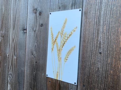 Property building, Spring, Day, Night, Winter, Summer, Decorative detail, Decorative detail, Autumn, On site, Area and facilities, Area and facilities, Seasons, Time of day, Location, Sunrise, Sunset