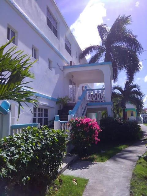Property building, Facade/entrance, Garden
