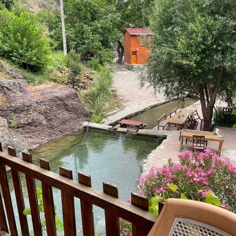 Property building, Day, Natural landscape, Garden, Garden view, Swimming pool