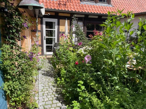 Garden, Garden view