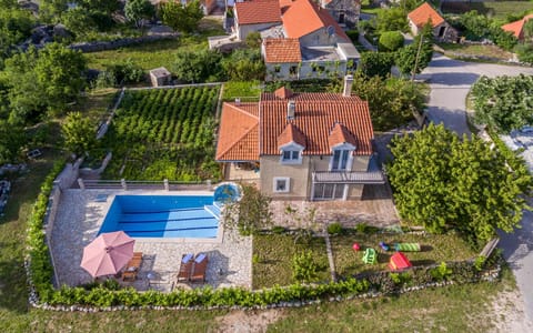 Bird's eye view, Pool view