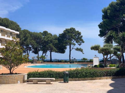 Beach, Pool view, Swimming pool, Swimming pool