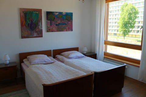 Ruta Marija Apartment in Lithuania