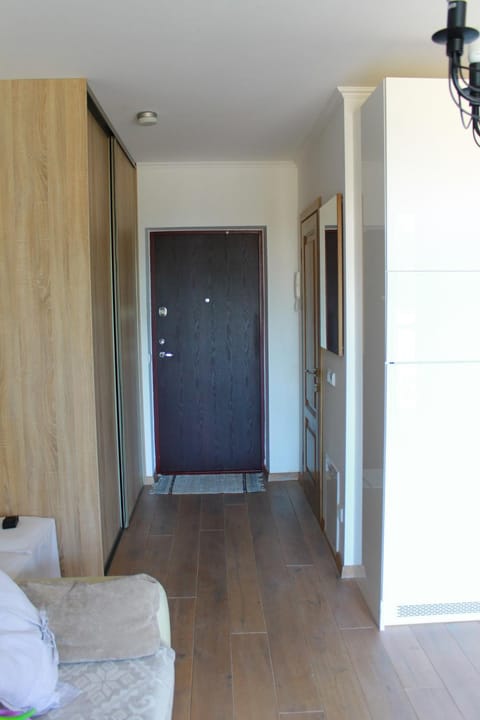 Ruta Marija Apartment in Lithuania