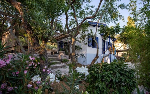 Property building, Facade/entrance, Garden