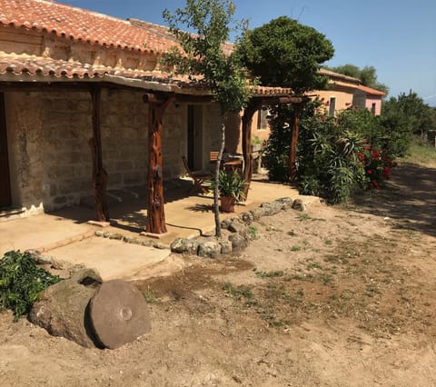 Patio, Facade/entrance, Garden