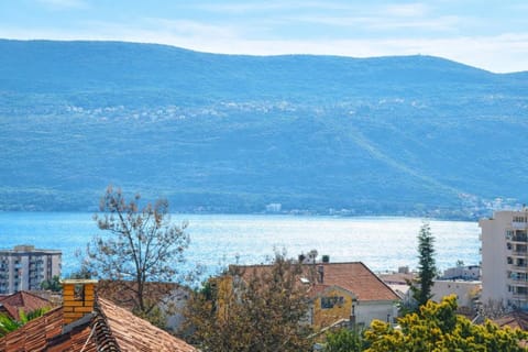 Viktor Apartment in Dubrovnik-Neretva County