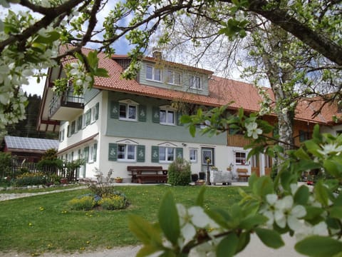 Property building, Garden