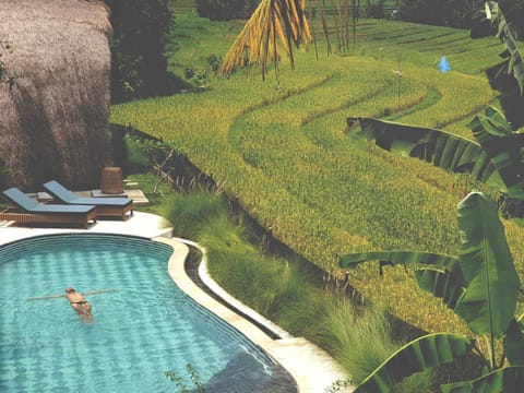Natural landscape, Garden view, Pool view, Swimming pool