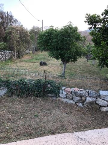 Natural landscape, Garden view