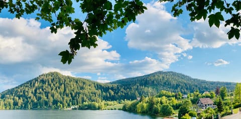 Hotel Restaurant Le Chalet au bord du lac Hotel in Gérardmer