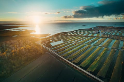 Day, Natural landscape, Garden, Cycling, Sea view, Sunrise
