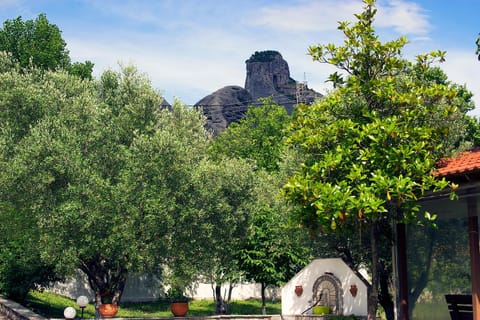 Natural landscape, Garden, Garden view