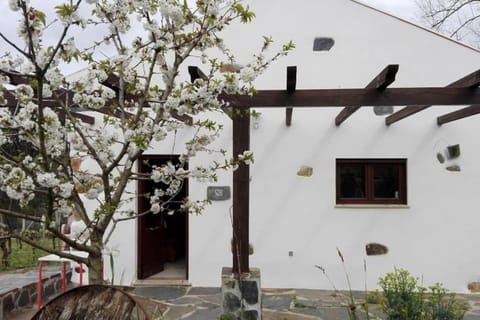 Property building, Patio, Facade/entrance