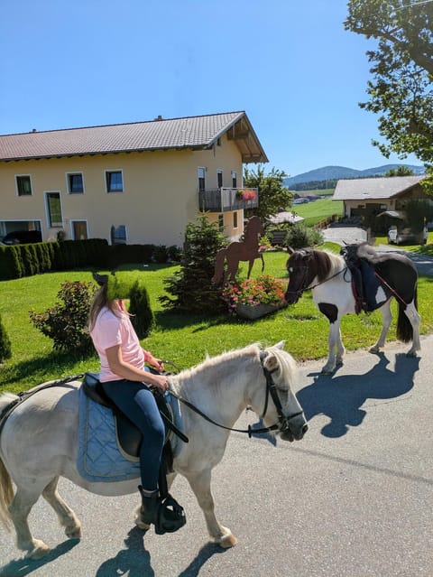 Horse-riding, Animals, children