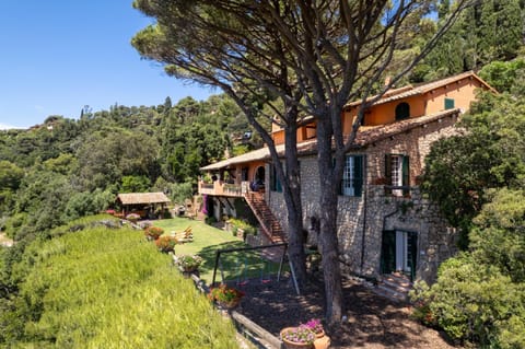 Property building, Natural landscape, Garden